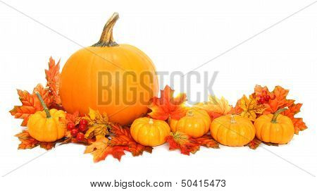 Autumn arrangement