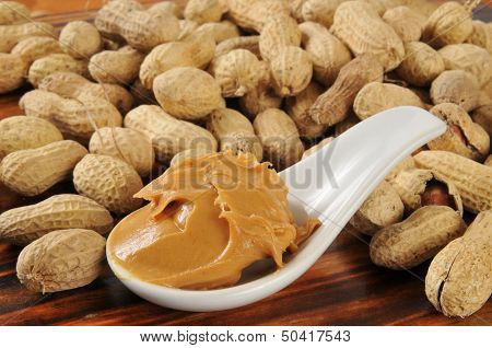 Creamy Peanut Butter