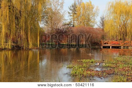 Spring Landscape