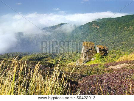 Beautiful natural rock on the mountain