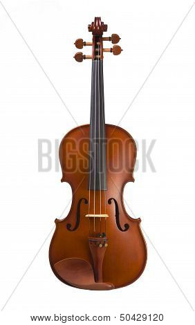 Classical shape wood vintage violin.
