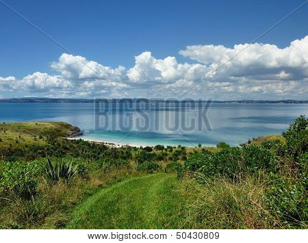 View Over Bush Vegetation Onto The Sea