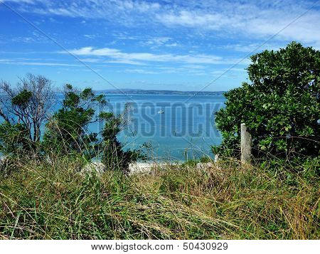 View Through Trees And Bushes Onto The Sea With A Small Boat In The Background