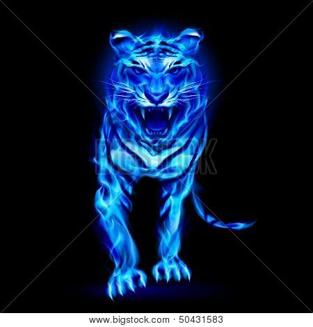 Blue fire tiger.