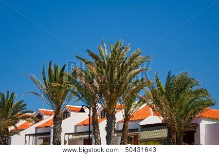 Beach Resort Side With Palm  Frounds .