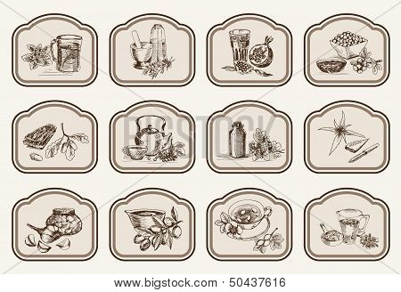 plants and herbs in folk medicine