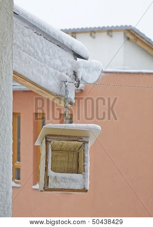Bird Feeder