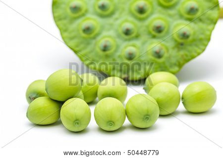 Freshness Lotus seed and pod