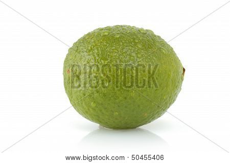 Single lime isolated on white