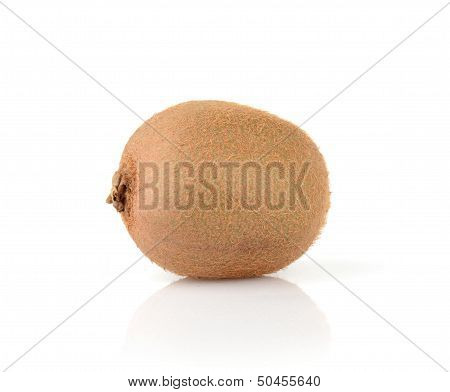 Single kiwi isolated on white