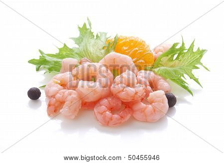 Shrimps