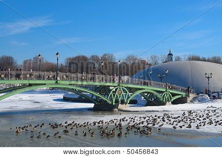 winter, bridge and ducks