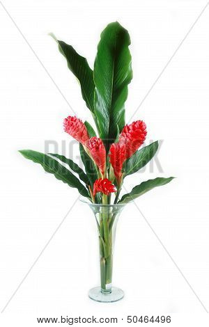 green and red