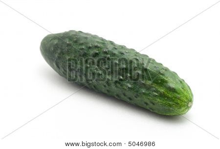 Cucumber