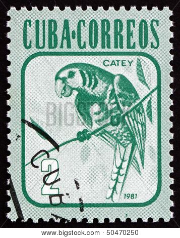 Postage Stamp Cuba 1981 Parakeet, Bird