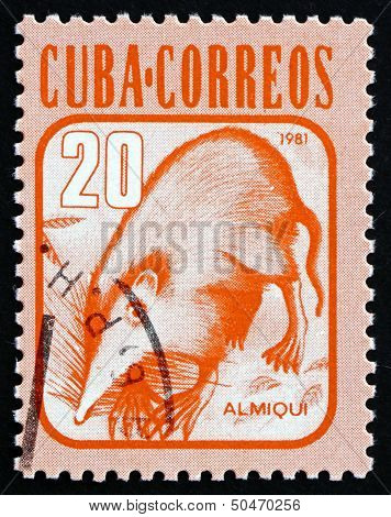 Postage Stamp Cuba 1981 Almiqui, Cuban Solenodon, Mammal