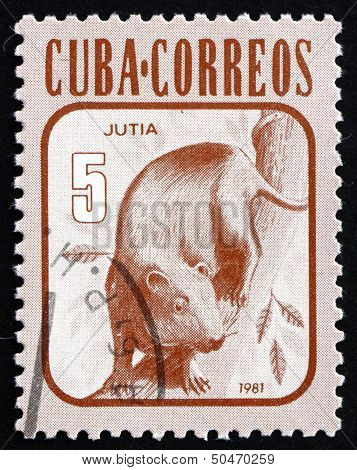 Postage Stamp Cuba 1981 Hutia, Rodent, Mammal