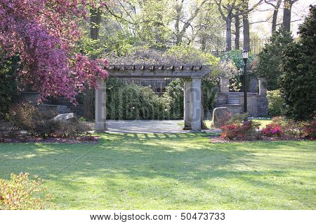 Beautiful landscaping at Brooklyn Botanical Gardens with Flowering Tree