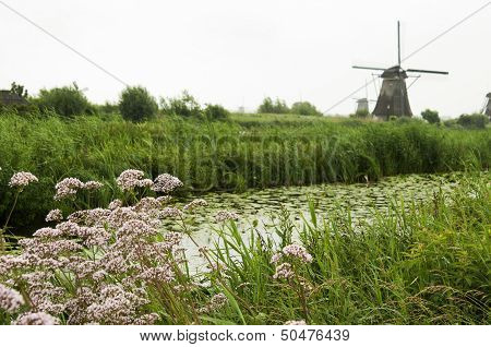 Windmill At Kinderdijk, Netherlands