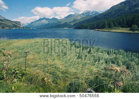 European alpine landscape (the valley of Engadin, Switzerland)