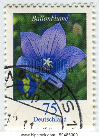 GERMANY - CIRCA 2011: A stamp printed in Germany shows image of the Platycodon grandiflorus is a species of herbaceous flowering perennial plant of the family Campanulaceae, circa 2011. 