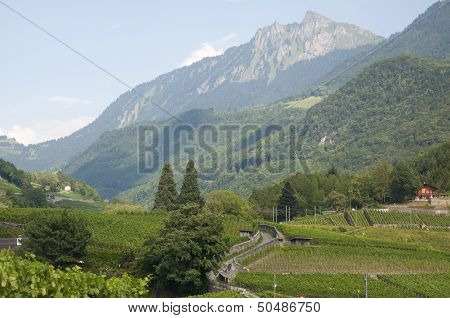 A Beautiful Swiss Countryside