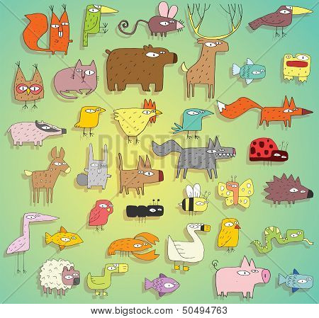Funny Animals Collection In Colours, With Outlines And Shadows