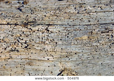 Texture legno fienile