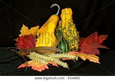 Centrotavola autunno Ii