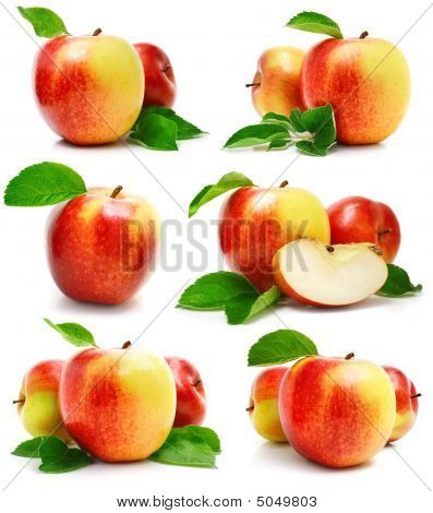 Impostare frutta mela rossa con foglie verdi e tagliare