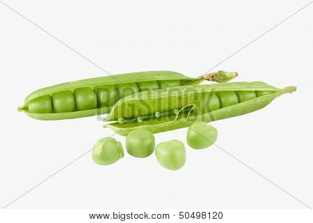 Green Pea