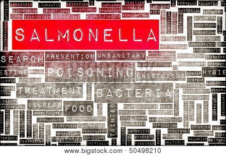 Salmonella Food Poisoning Concept Awareness and Prevention