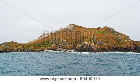 A Distant Bird Sanctuary At Seven Islands