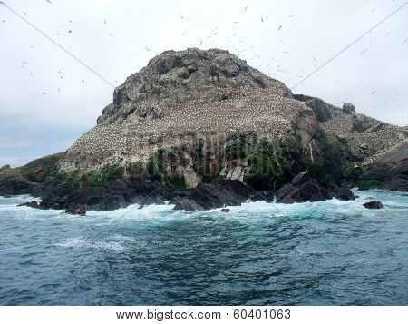 Bird Sanctuary At Seven Islands