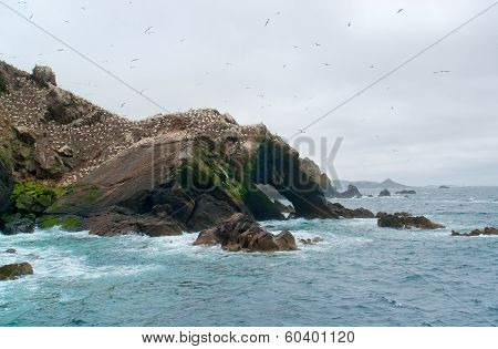 Bird Sanctuary At Seven Islands