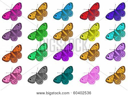 colorful pattern of butterflies