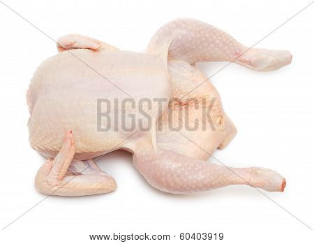 Fresh Chicken