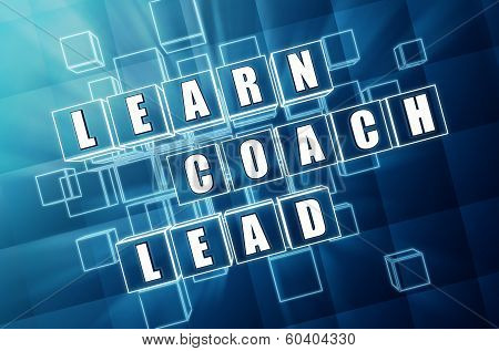 Learn, Coach, Lead In Blue Glass Cubes