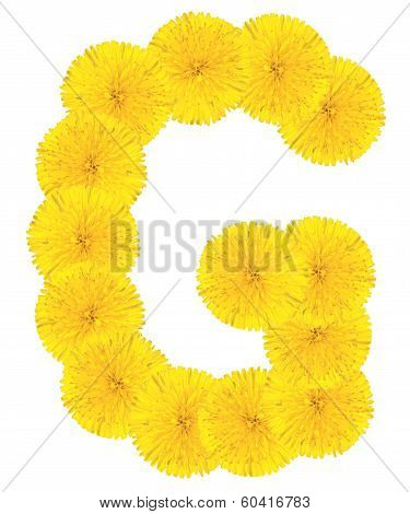 Letter G Made From Dandelions