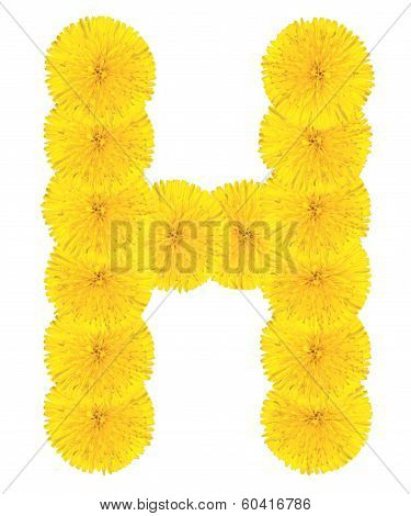 Letter H Made From Dandelions