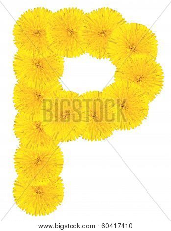 Letter P Made From Dandelions