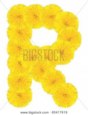 Letter R Made From Dandelions