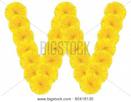 Letter V Made From Dandelions