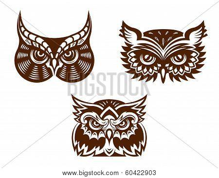 Collection of wise old owl faces