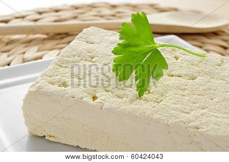 closeup of a block of tofu in a plate on a worktop