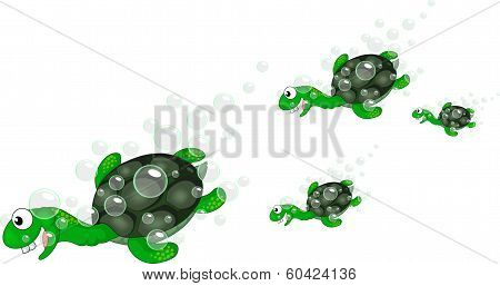 Turtles swim Vector