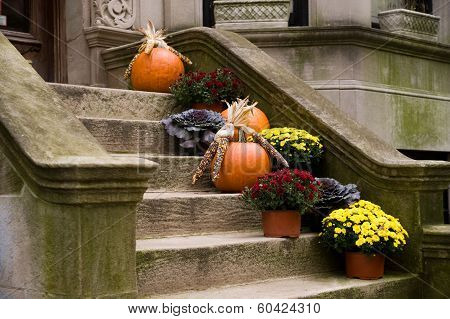 Harvest Home Front Stoop