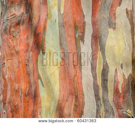 Colorful Abstract Pattern