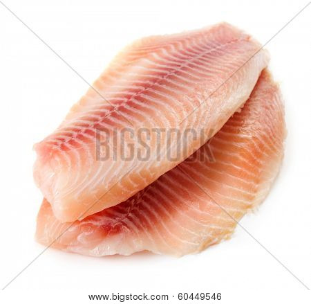 Tilapiini fillet on white background
