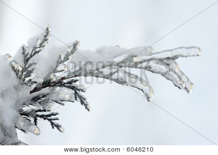 Ice Storm